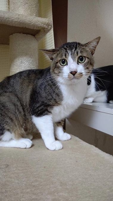 7月のイベントのお知らせ