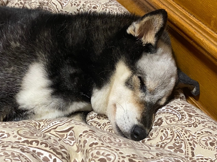 腫瘍が脳と脊髄に転移しました。