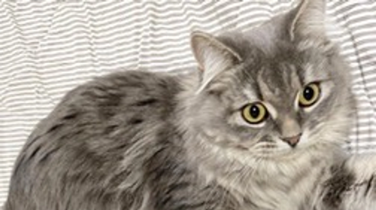 9/19  闘病23日目