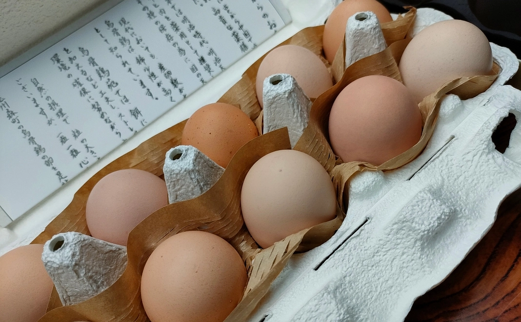 平飼い烏骨鶏卵10個と季節の野菜を送ります。