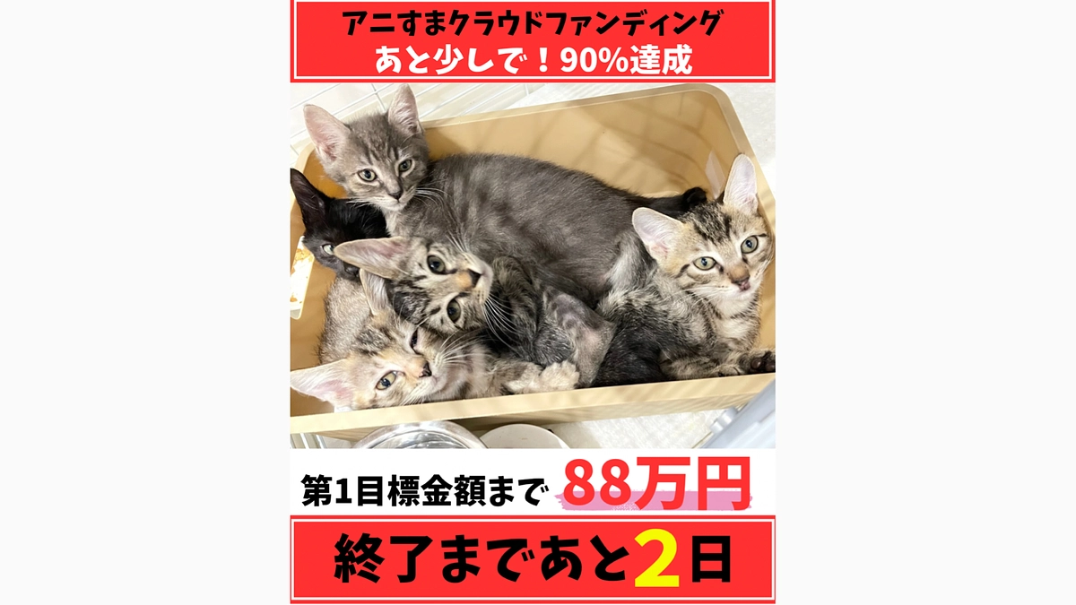 あと2日/もうすぐ90%に到達します‼️