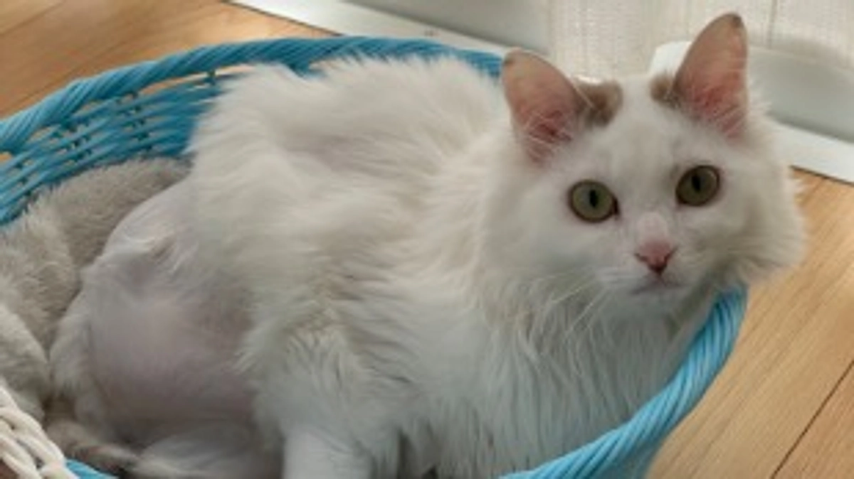 これからも頑張っていきます