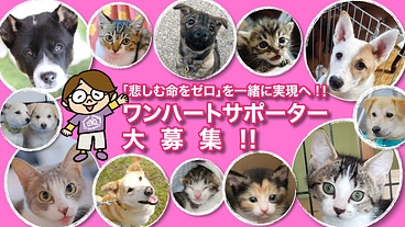 「悲しむ命をゼロ」を一緒に実現へ！！ワンハートサポーター大募集！ のトップ画像