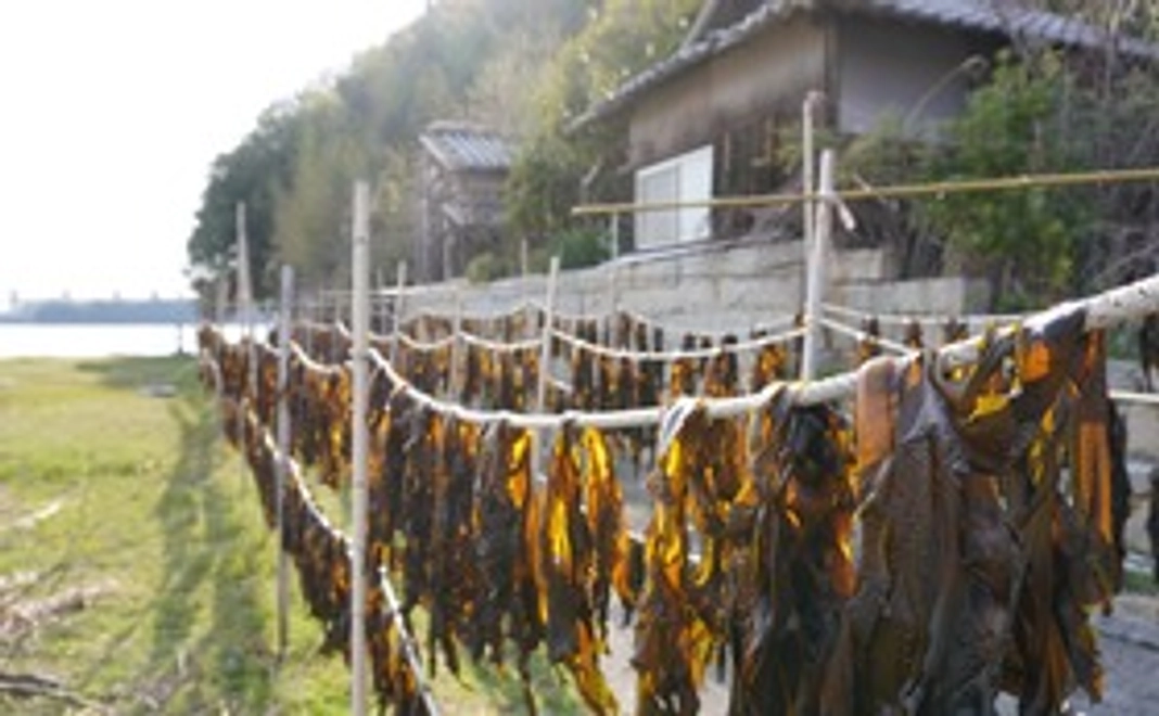 【松島応援】天然ワカメ コース