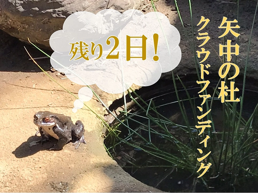 【終了まで残り2日】プロジェクトへかける想い