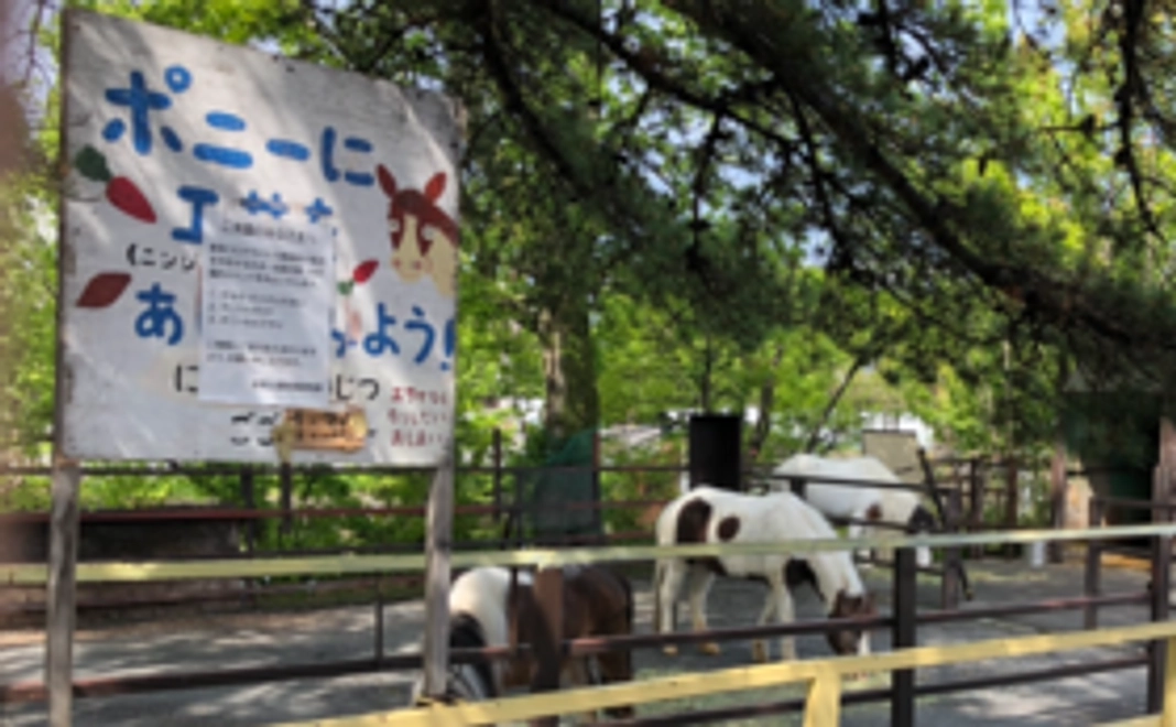 おきもち｜1万円コース