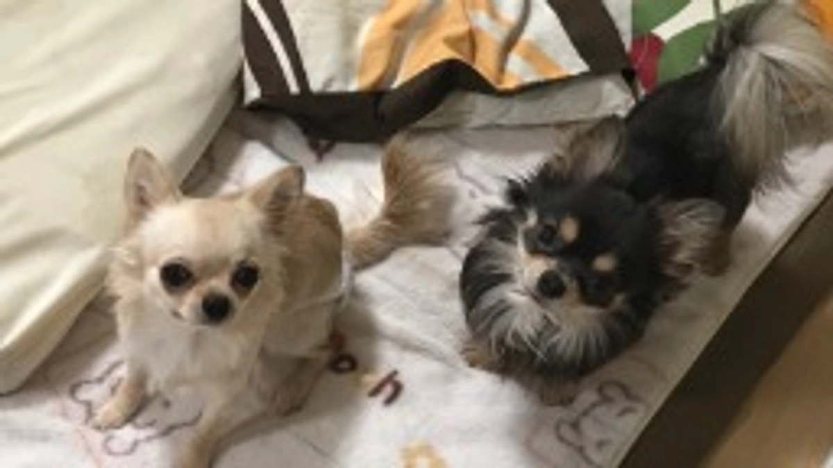 残り7日となりました