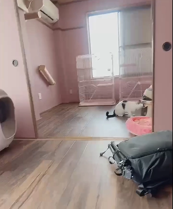 YouTuber様よりご支援頂きました！！！