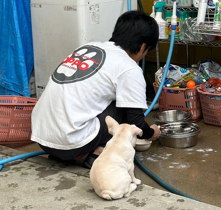 【1800万円突破しました！】動画でみるおっぽの会〜ボランティア香田さん編〜