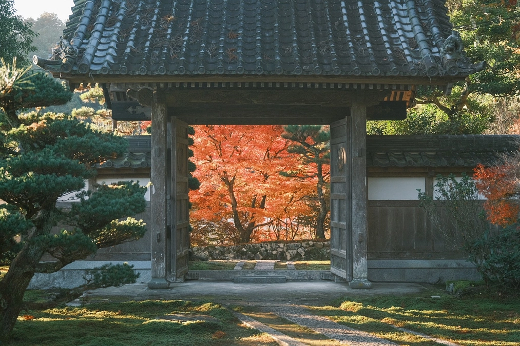 お寺の未来を考える