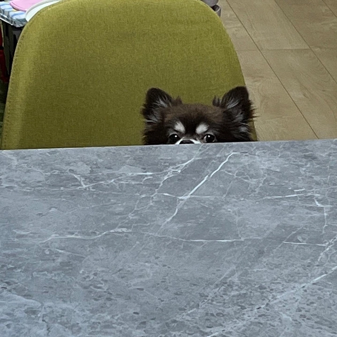 雷で震える茶太郎。。。