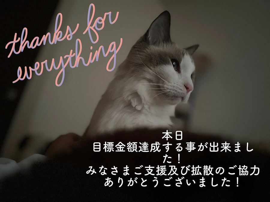 プロジェクト目標金額達成致しました！！