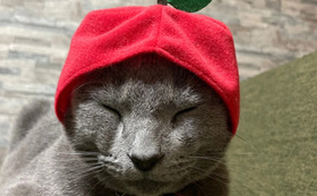 もんちゃん応援01