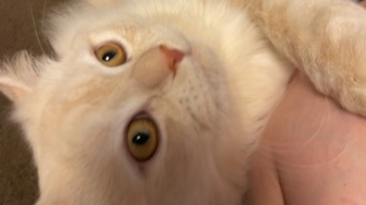 今日のトキ☀️