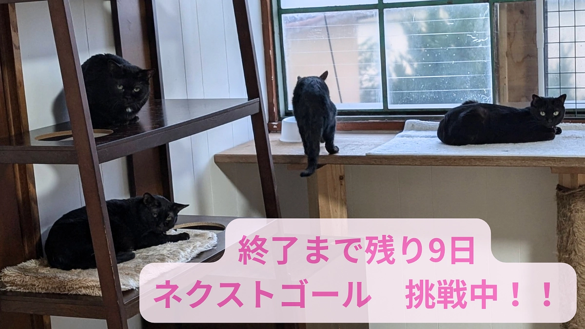 【残り9日】ネクストゴール達成まであと57万円！