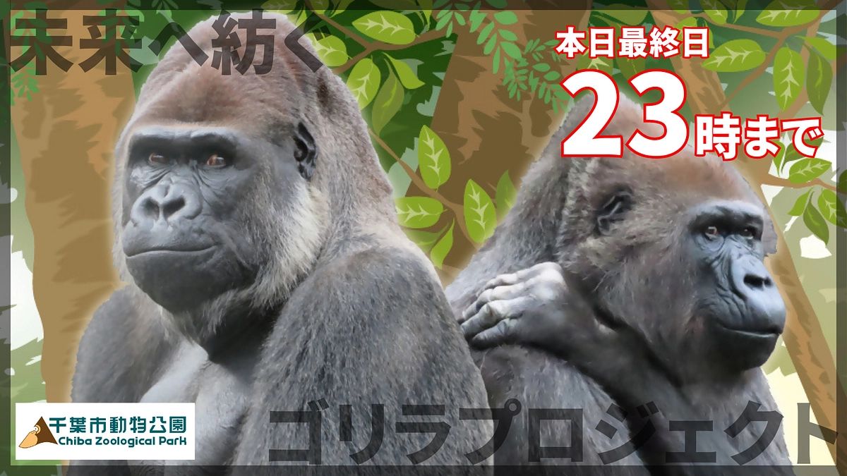 本日最終日！支援募集は23時までです！