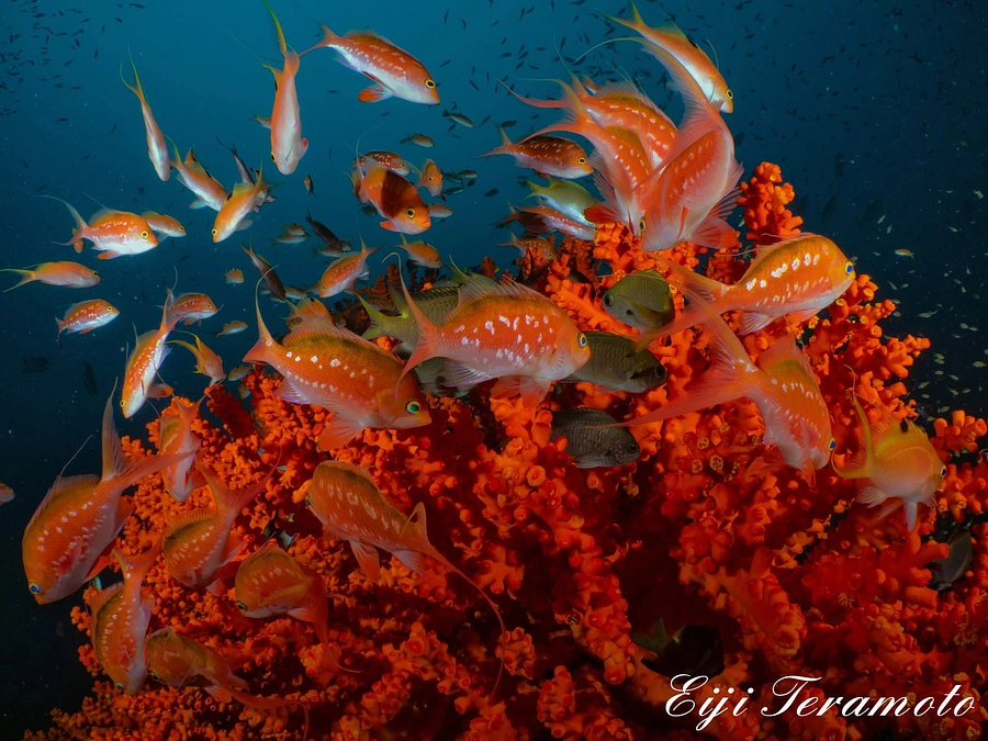 ネクストゴール、達成することができました！