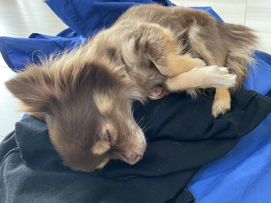 chocoの自己紹介💞