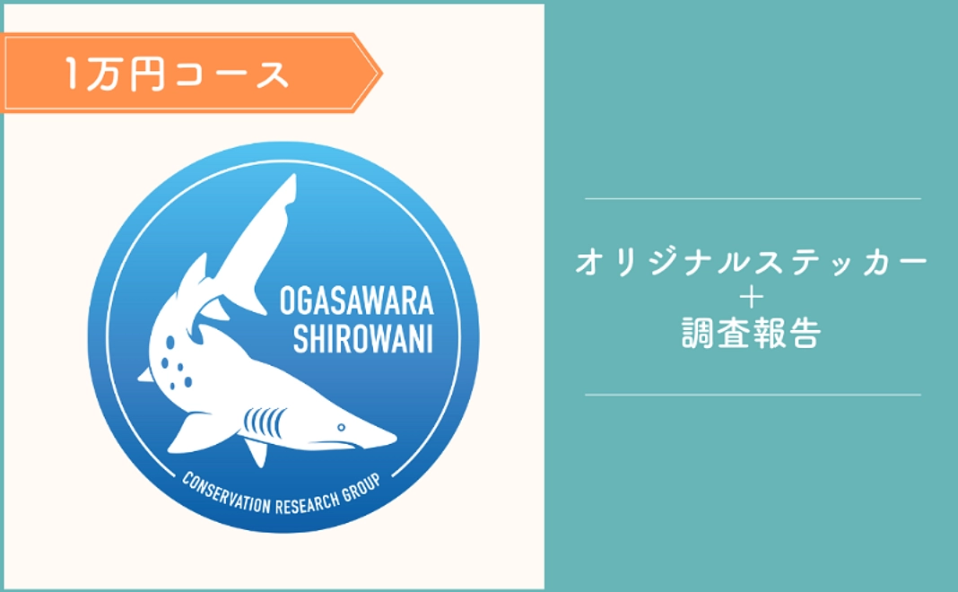 1万円｜詳細な調査報告をお届け！