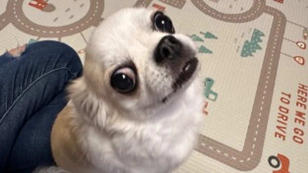 ポスター設置のご協力ありがとうございます🙏🏻