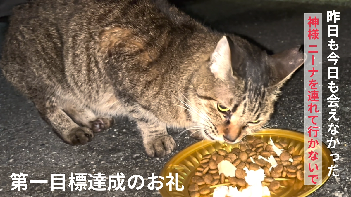 昨日は喜びと悲しみの日になりました。皆様のお陰で第一目標達成出来ました。