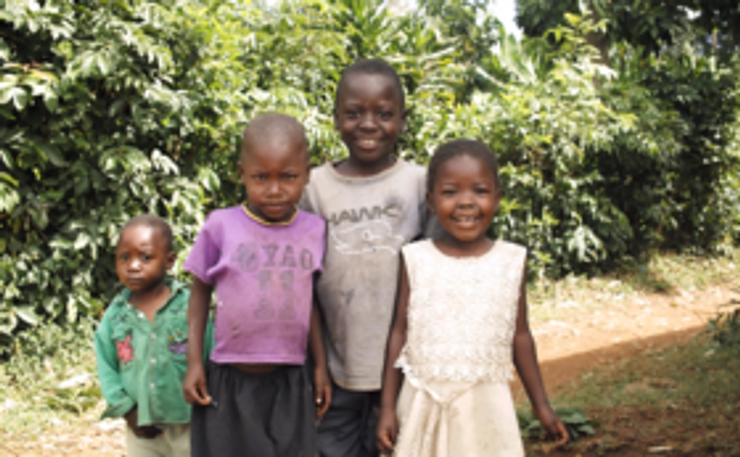 「スナノミ症撲滅」メンバーとして各報告書にお名前を残します。