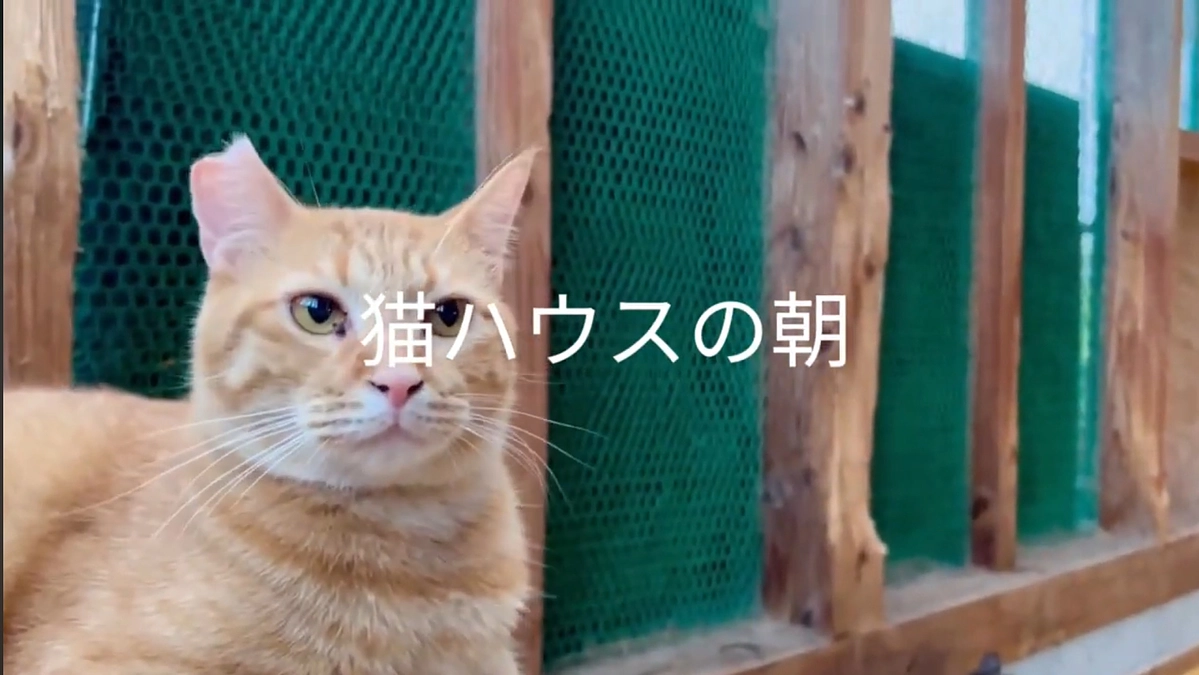 ラジオ出演とユーチューブアップのお知らせ