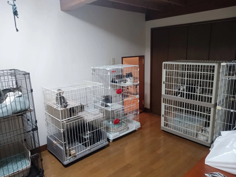 新シェルターの様子