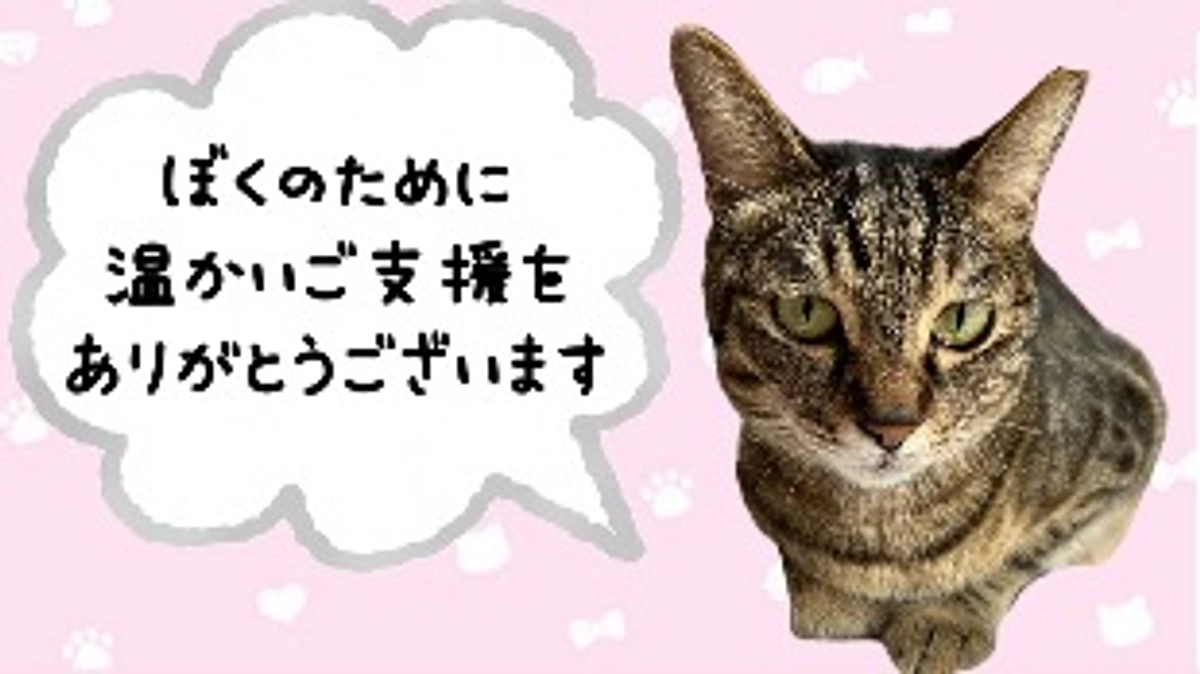 【ご支援ありがとうございます】