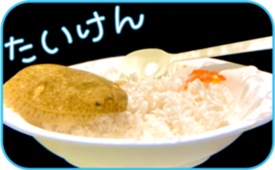 【体験しよう】ヨコハマおもしろ水族館ご招待券