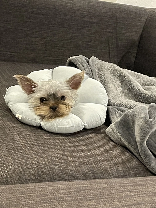 １回目の手術が終わりました