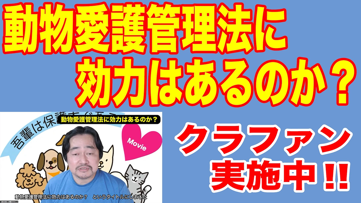 「動物愛護管理法に効力はあるのか？」～保護わんのちょいコメ③