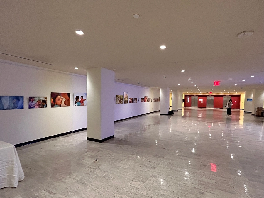 セットアップ完了しました！