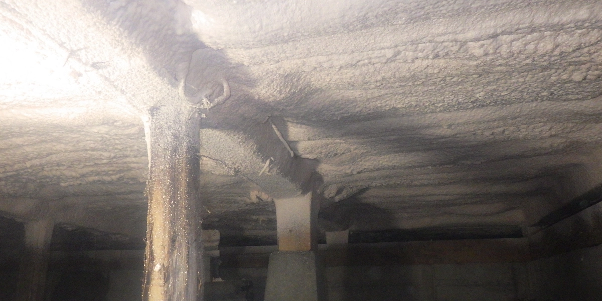 一時シェルター進捗報告