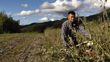 市場流通0.1％以下の「国産ごま」を信州から全国へ世界へ発信 のトップ画像