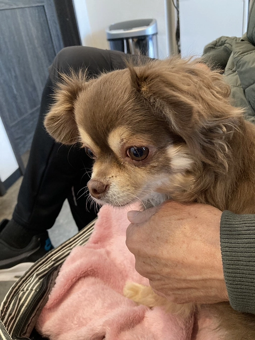 クラウドファンディング残り20日