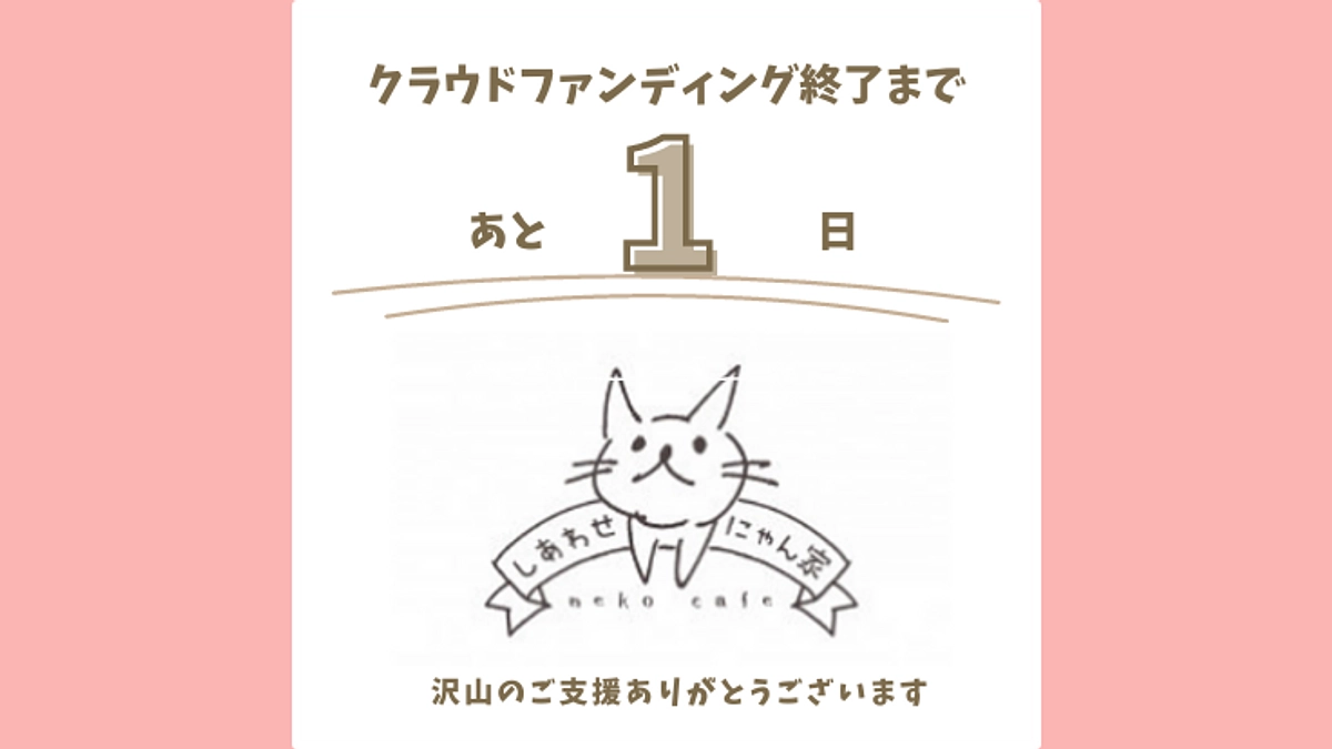 いよいよ明日が最終日となります！