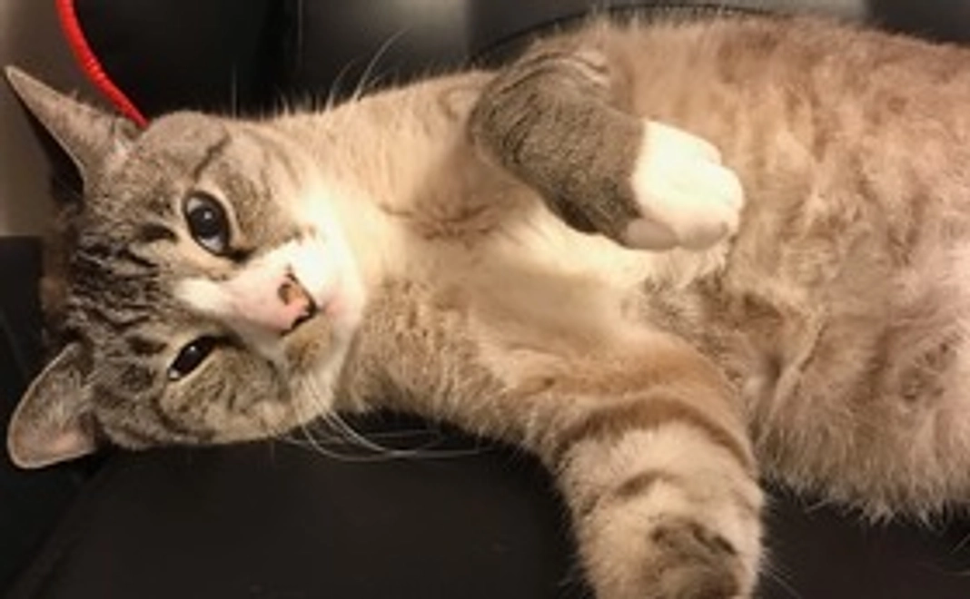 感謝のメール&写真1枚