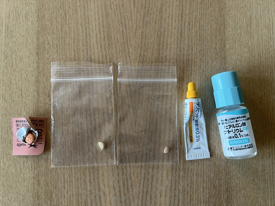 2025.2.12  今日は抗がん剤の日‼️