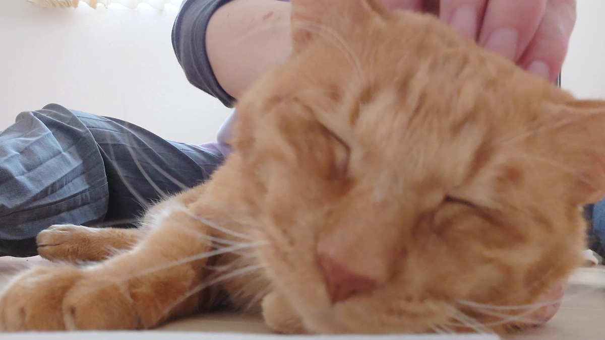 【リターンの送信完了のお知らせ】温かいご支援をいただいたみなさまへ