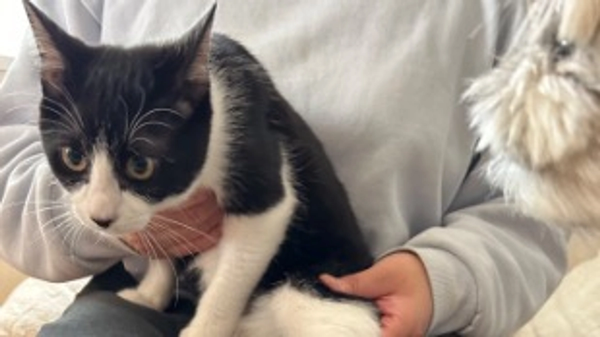 11月14日 〜 リハビリ経過報告⑥ 〜保護から84日目