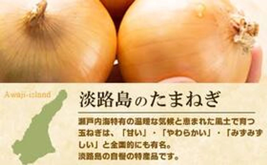 地元淡路島の玉ねぎM〜L 1箱