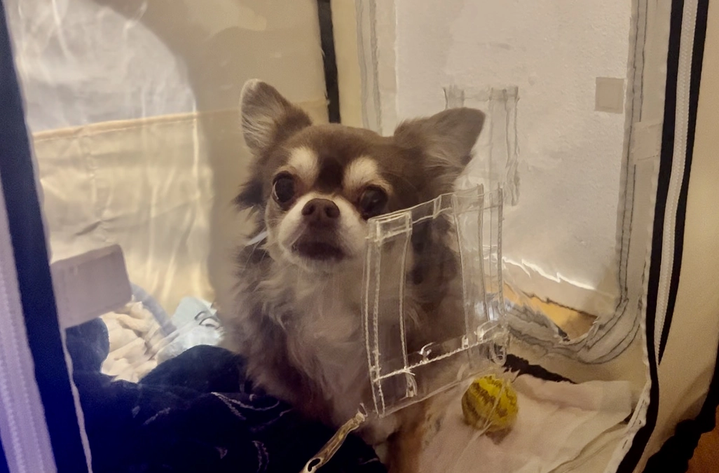 家に着くまで不安な毎日