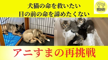 アニすまの再挑戦！犬猫の命を救うために のトップ画像