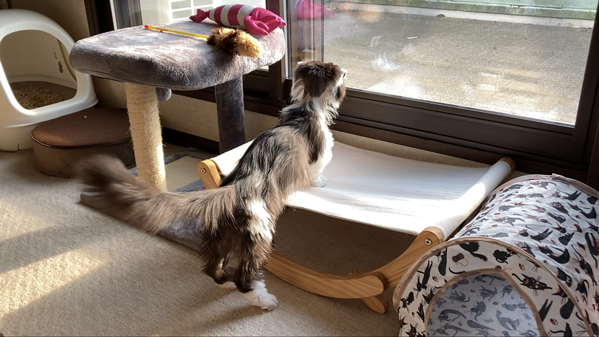 10/26のテオくんの様子