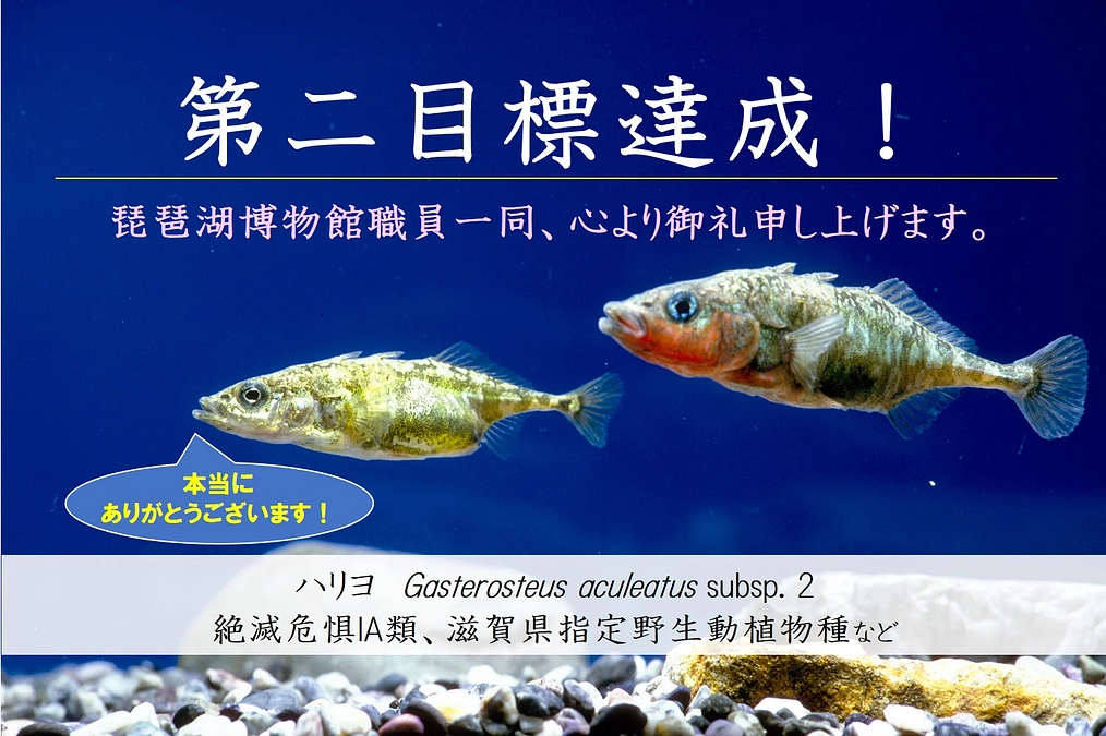 第二目標達成の御礼