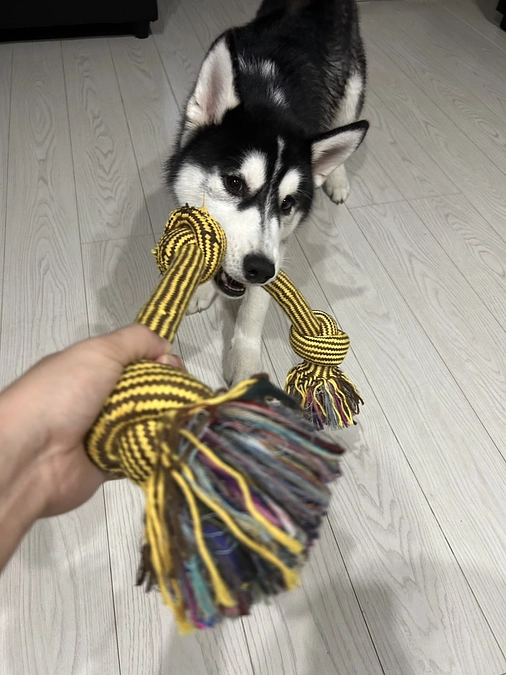 後12時間！！！