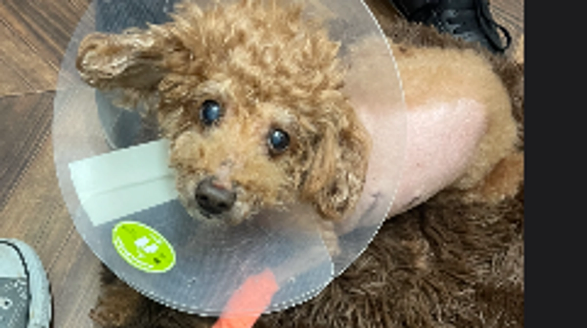 脳梗塞の経過について