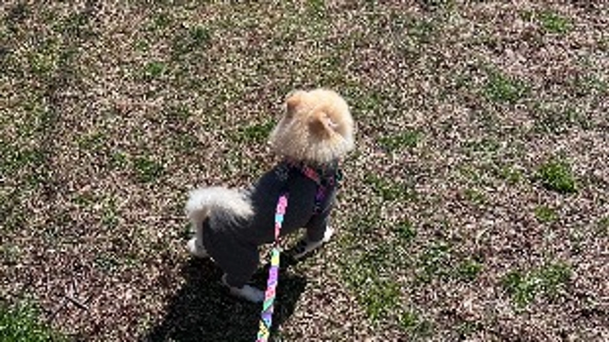 23/59 ☆ 陽気が良くて