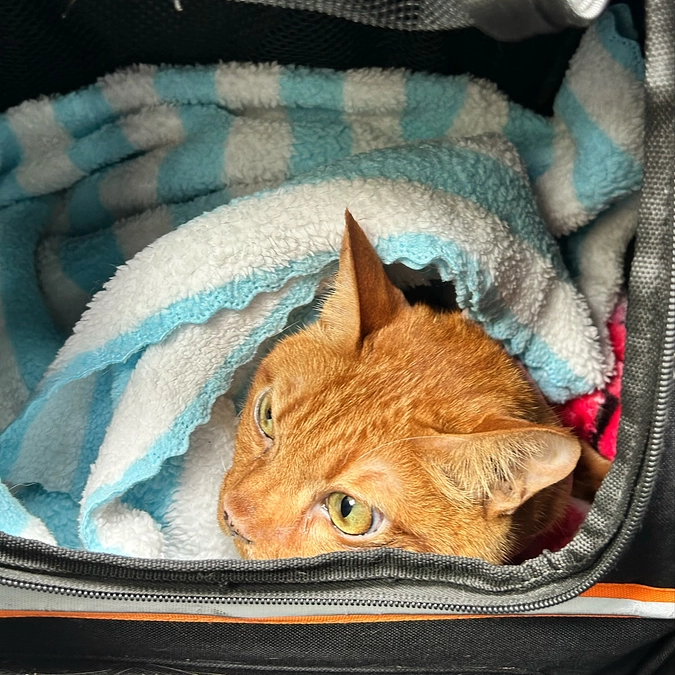 日曜日の夜、緊急で病院へ行きました